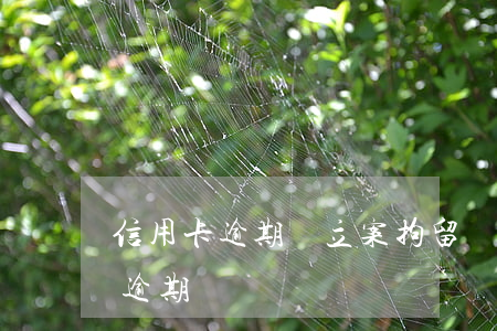 信用卡逾期會立案拘留嗎(如果被拘留信用卡逾期)
