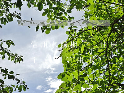 信用卡逾期會終止房貸 房貸逾期會凍結(jié)信用卡嗎