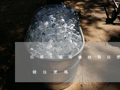 信用卡逾期會終身拉黑嗎(信用卡逾期征信會被拉黑嗎)