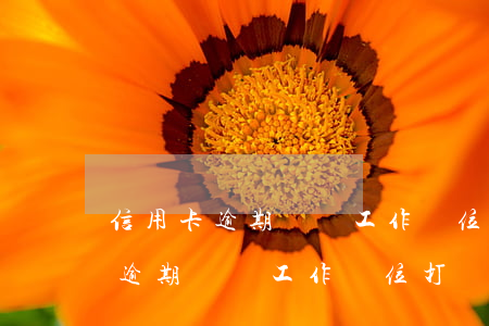 信用卡逾期會給工作單位打電話嗎-信用卡逾期會給工作單位打電話嗎怎么辦