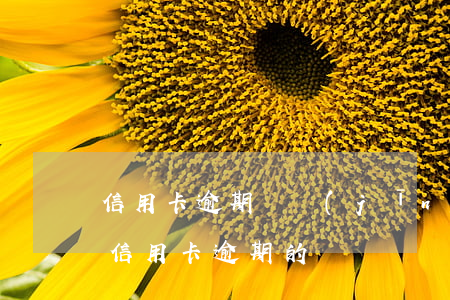 信用卡逾期會經(jīng)歷什么(有處理信用卡逾期的嗎)