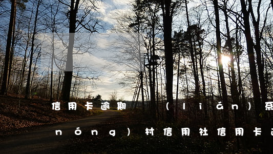 信用卡逾期會聯(lián)系村委嗎(農(nóng)村信用社信用卡逾期)
