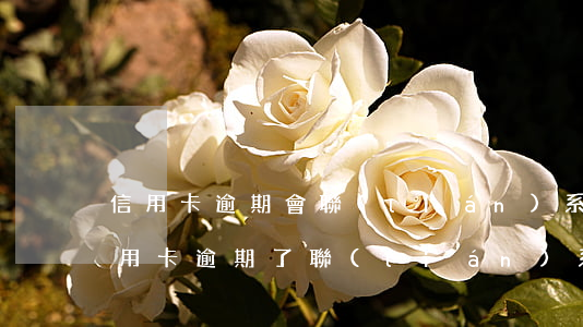 信用卡逾期會聯(lián)系誰 朋友的信用卡逾期了聯(lián)系人受牽連嗎