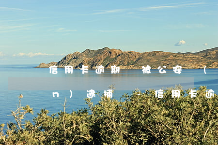 信用卡逾期會被公安機(jī)關(guān)逮捕嗎-信用卡逾期會被公安機(jī)關(guān)逮捕嗎知乎