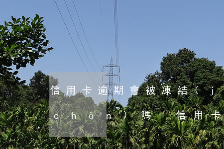 信用卡逾期會被凍結(jié)名下財產(chǎn)嗎-信用卡逾期會被凍結(jié)名下財產(chǎn)嗎知乎