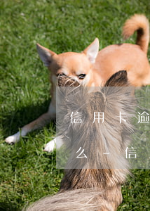信用卡逾期會被凍結(jié)所有銀行卡么-信用卡逾期會被凍結(jié)所有銀行卡么嗎