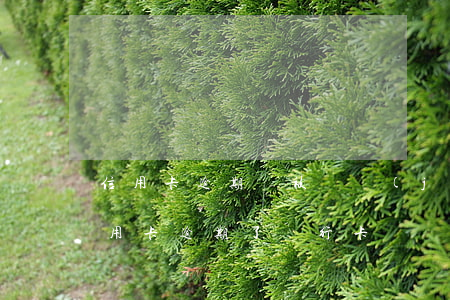 信用卡逾期會被凍結(jié)身份證嗎(信用卡逾期了銀行卡會凍結(jié)嗎)
