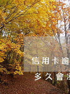 信用卡逾期會被凍結(jié)額度嗎 逾期多久會凍結(jié)信用卡