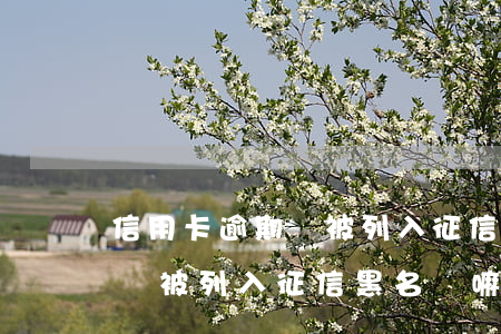 信用卡逾期會被列入征信黑名單(信用卡逾期會被列入征信黑名單嘛)