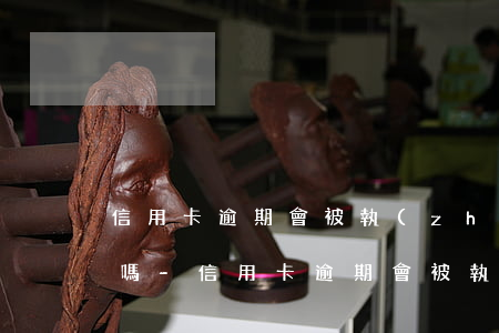 信用卡逾期會被執(zhí)行失信人名單嗎-信用卡逾期會被執(zhí)行失信人名單嗎怎么辦