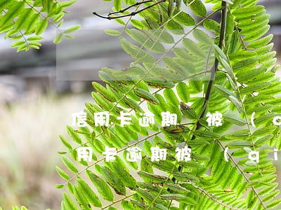信用卡逾期會被強(qiáng)制銷卡(信用卡逾期被強(qiáng)制銷戶會影響其他信用卡嗎)