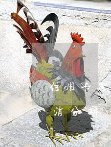 信用卡逾期會被強制取消分期嗎(逾期可以取消分期嗎)