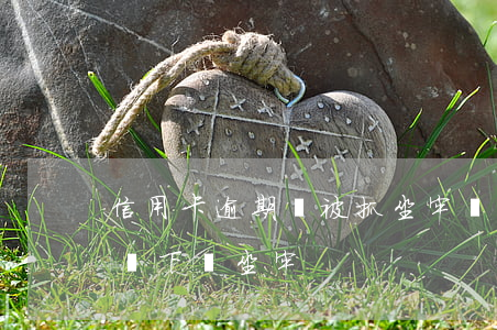 信用卡逾期會被抓坐牢嗎(信用卡逾期什么情況下會坐牢)