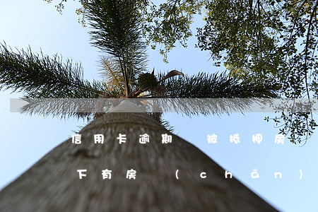 信用卡逾期會被抵押房產(chǎn)嗎(名下有房產(chǎn)信用卡逾期受影響嗎)