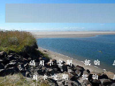 信用卡逾期會被拍賣房產(chǎn)嗎(信用卡逾期會被拍賣房產(chǎn)嗎)