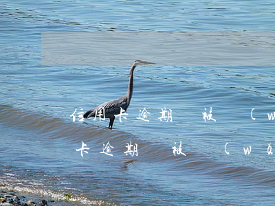 信用卡逾期會被網(wǎng)上追逃(信用卡逾期會被網(wǎng)上通緝嗎)