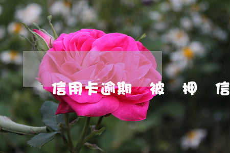 信用卡逾期會被羈押嗎(信用卡逾期會被羈押嗎)