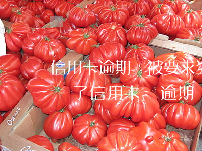 信用卡逾期會被要求全額還款嗎(為什么明明還了信用卡還逾期)