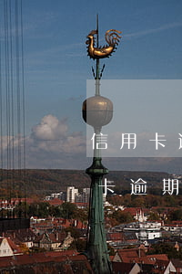 信用卡逾期會被設(shè)置成在逃(信用卡 逾期 后果)
