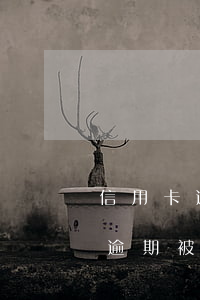 信用卡逾期會被起訴嗎怎么查(怎么查信用卡逾期被銀行起訴)