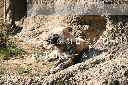 信用卡逾期會被起訴嘛(信用卡逾期多久會被起訴還有什么后果)