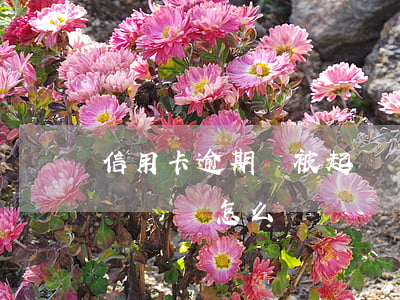 信用卡逾期會被起訴詐騙么(被銀行信用卡起訴詐騙怎么辦)