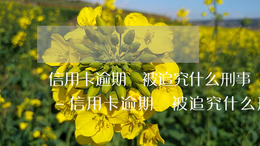 信用卡逾期會被追究什么刑事責(zé)任-信用卡逾期會被追究什么刑事責(zé)任呢