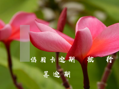 信用卡逾期會被銀行強制扣款(銀行卡扣款失敗算逾期嗎)