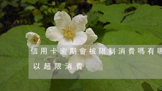 信用卡逾期會被限制消費嗎(有哪些信用卡可以超限消費)