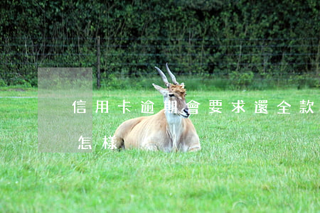 信用卡逾期會要求還全款嗎(逾期還信用卡會怎樣)