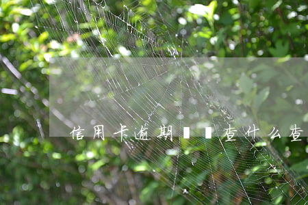 信用卡逾期會調查什么(查信用卡是否逾期)