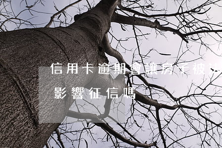 信用卡逾期會讓房子被法拍嗎 房子被法拍會影響征信嗎