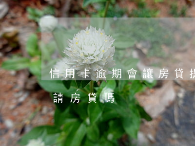 信用卡逾期會讓房貸提前(信用卡逾期可以申請房貸嗎)