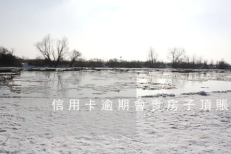 信用卡逾期會賣房子頂賬么(頂賬房能買嗎)