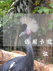 信用卡逾期會走訪單位嗎-信用卡逾期會走訪單位嗎知乎