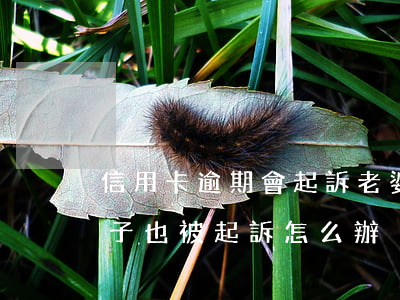 信用卡逾期會起訴老婆嗎(丈夫信用卡逾期,妻子也被起訴怎么辦)