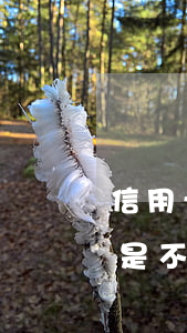 信用卡逾期會起訴還款嗎(信用卡逾期在還款是不是就不會起訴)