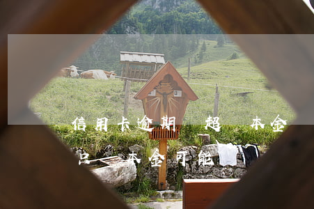 信用卡逾期會超過本金嗎(信用卡逾期很多年只還本金可能嗎)