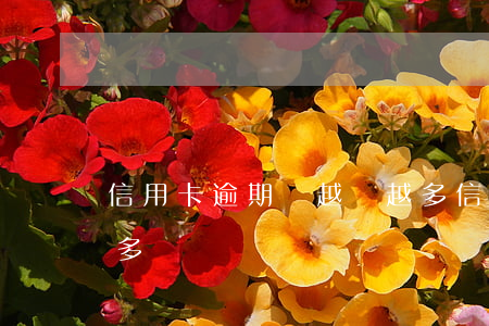 信用卡逾期會越還越多(信用卡逾期會越還越多)