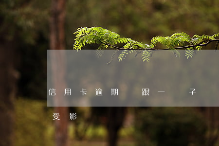 信用卡逾期會跟一輩子嗎(信用卡逾期別的卡受影響嗎)