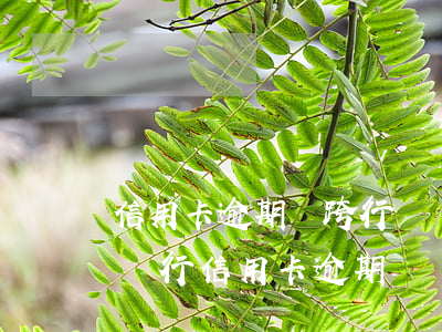 信用卡逾期會跨行凍結(jié)嗎(同一個銀行信用卡逾期會凍結(jié)儲蓄卡嗎)