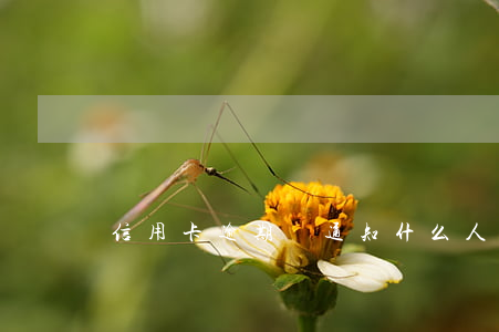 信用卡逾期會通知什么人(信用卡 逾期 通知)