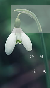 信用卡逾期會通知你去調(diào)解嗎 信用卡 逾期 通知