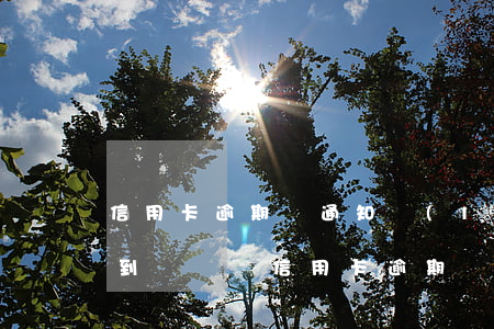 信用卡逾期會通知聯(lián)系人嗎(接到電話說信用卡逾期)