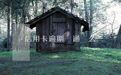 信用卡逾期會通緝么