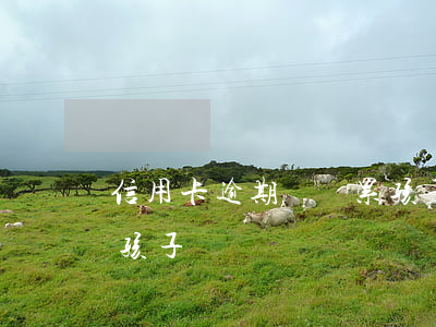 信用卡逾期會連累孩子嗎(信用卡逾期會連累孩子嗎)