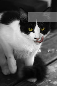 信用卡逾期會連累誰（信用卡逾期會連累誰）