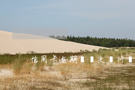 信用卡逾期會遞交銀行嗎