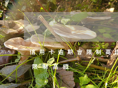 信用卡逾期會限制高鐵嗎(信用卡逾期多久會限制高鐵)