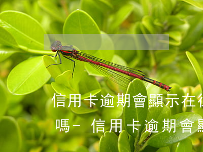 信用卡逾期會顯示在征信報(bào)告里嗎-信用卡逾期會顯示在征信報(bào)告里嗎